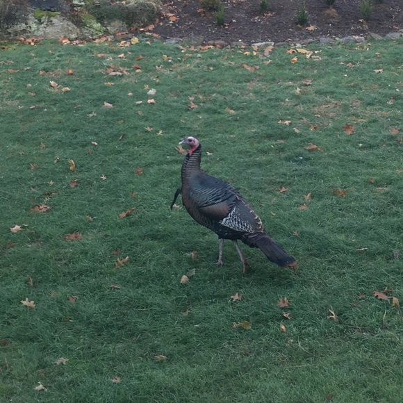 Meet your Posher, Andrew - Picture 1 of 1